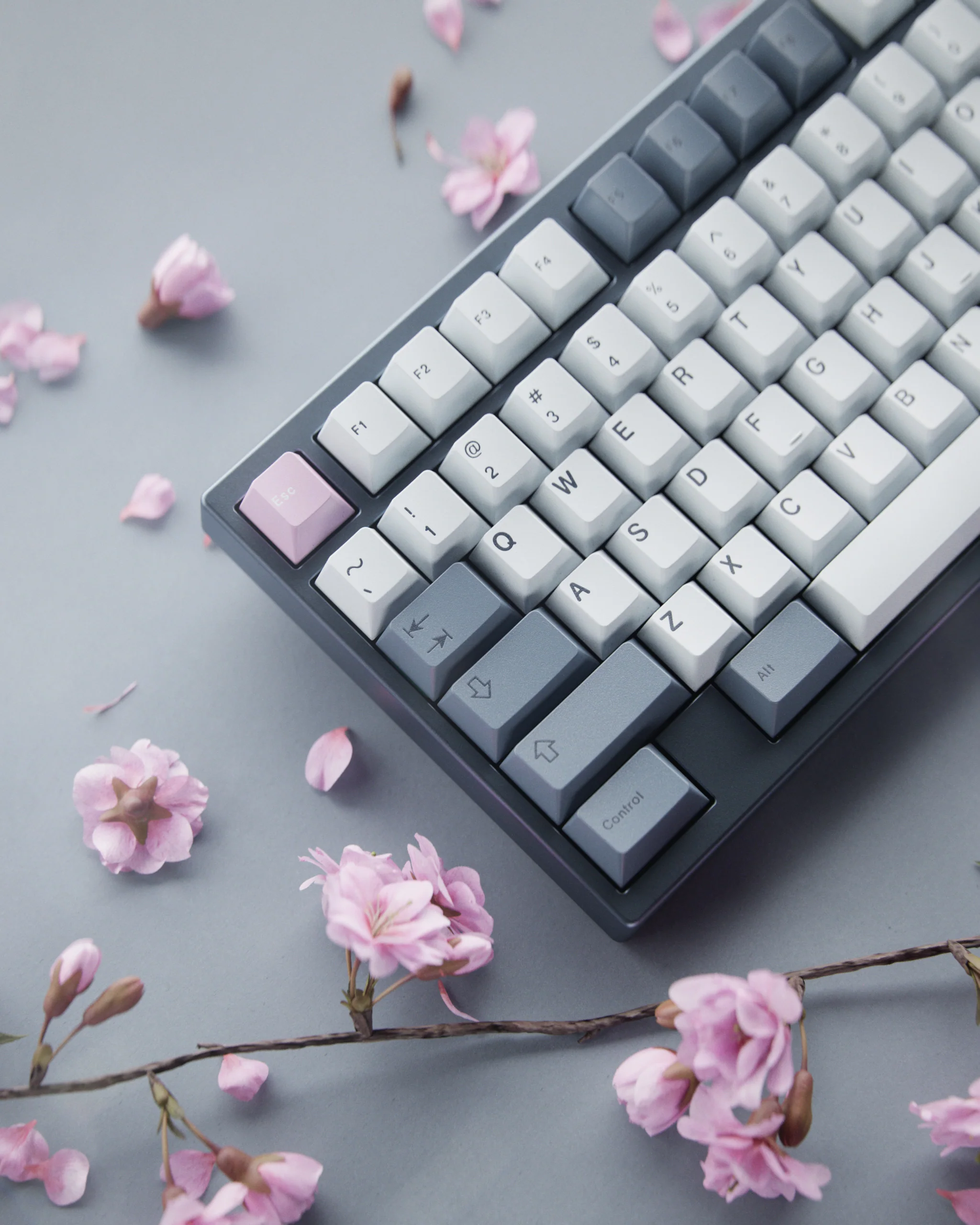 GMK CYL Fuji