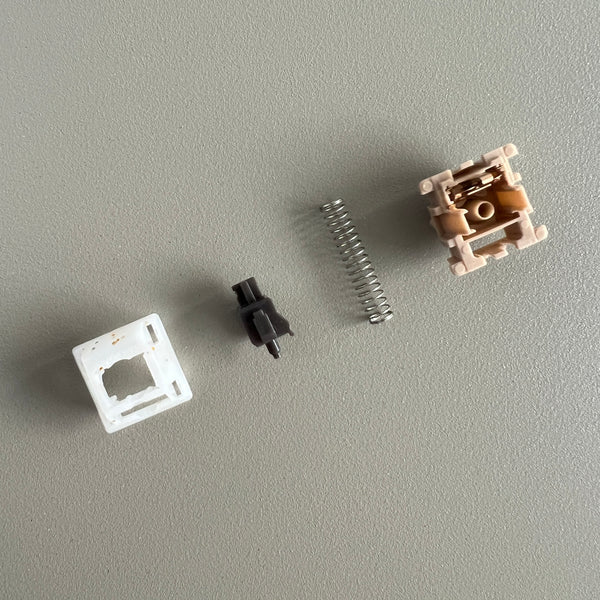 Invokeys Hojicha Reserve Tactile Switches - Image 4