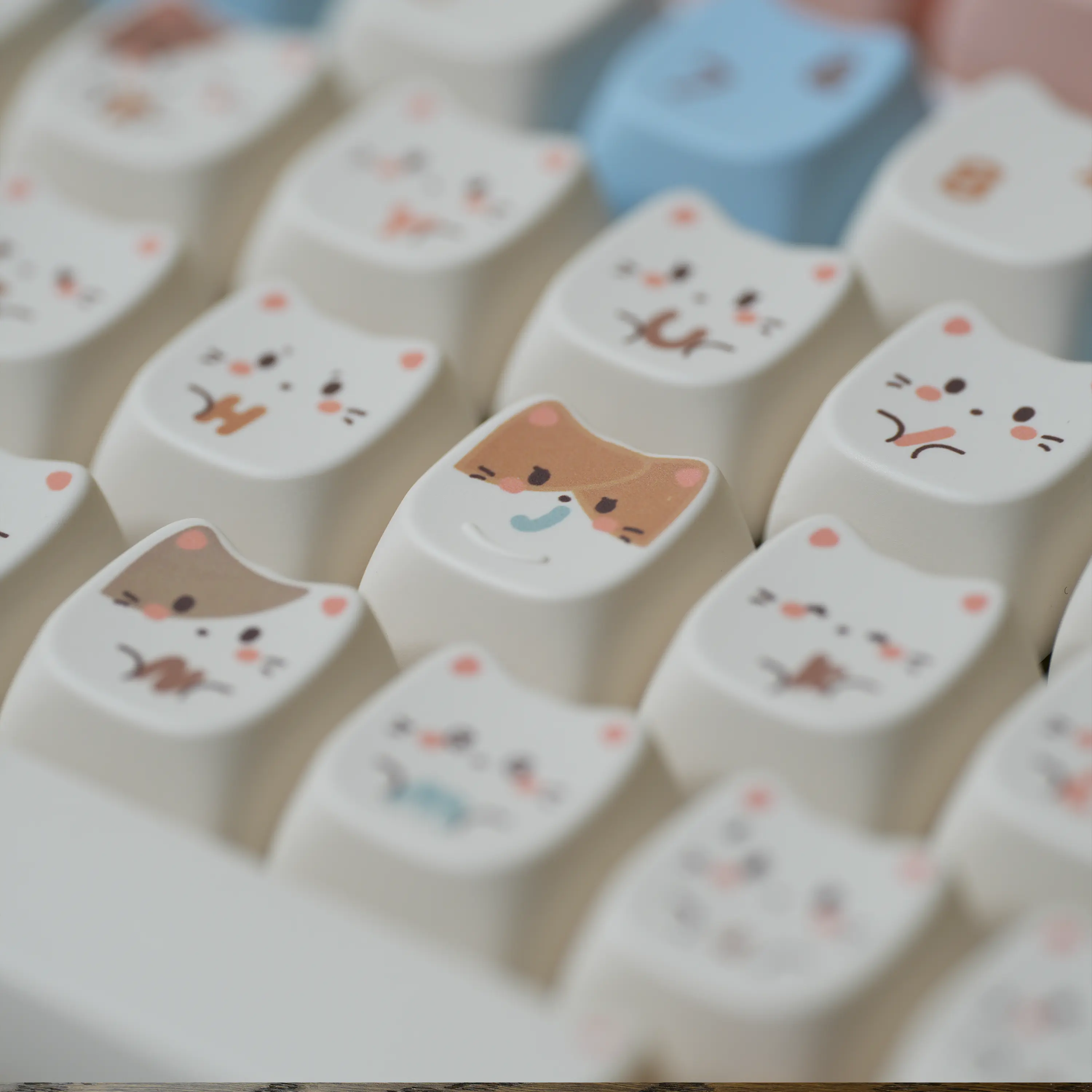 Sea Salt Meow MAO Profile Keycaps - Image 4