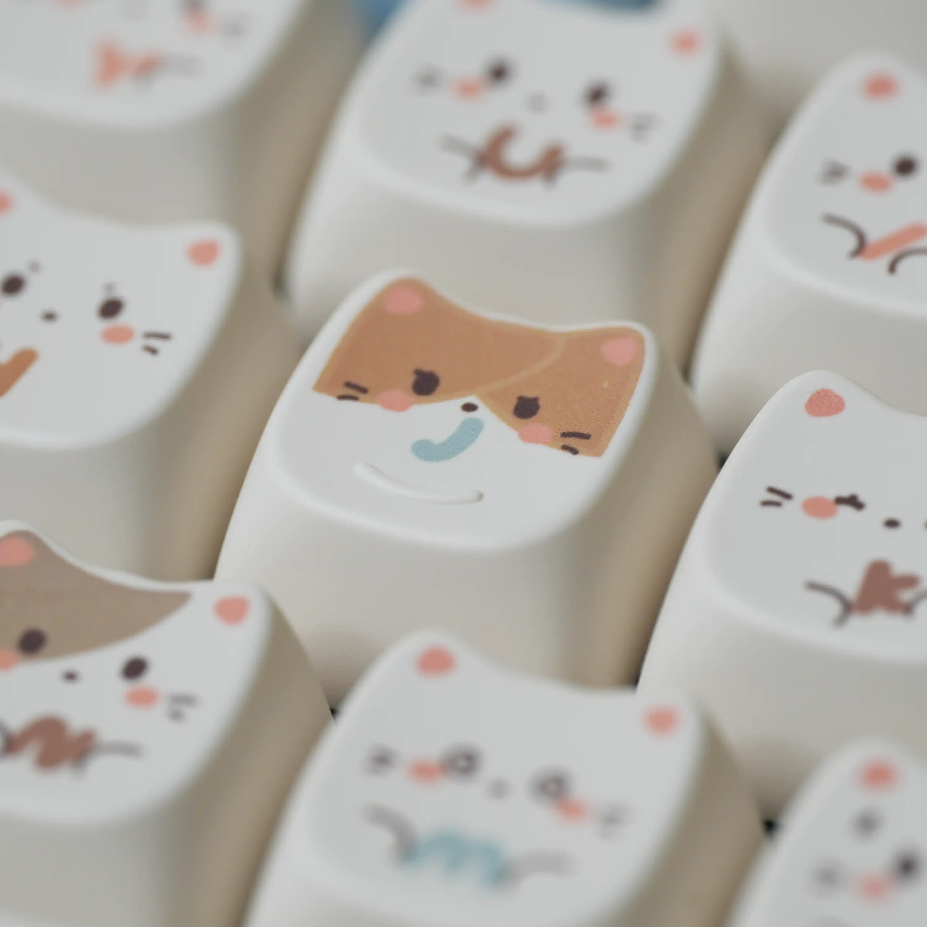 Sea Salt Meow MAO Profile Keycaps - Image 5