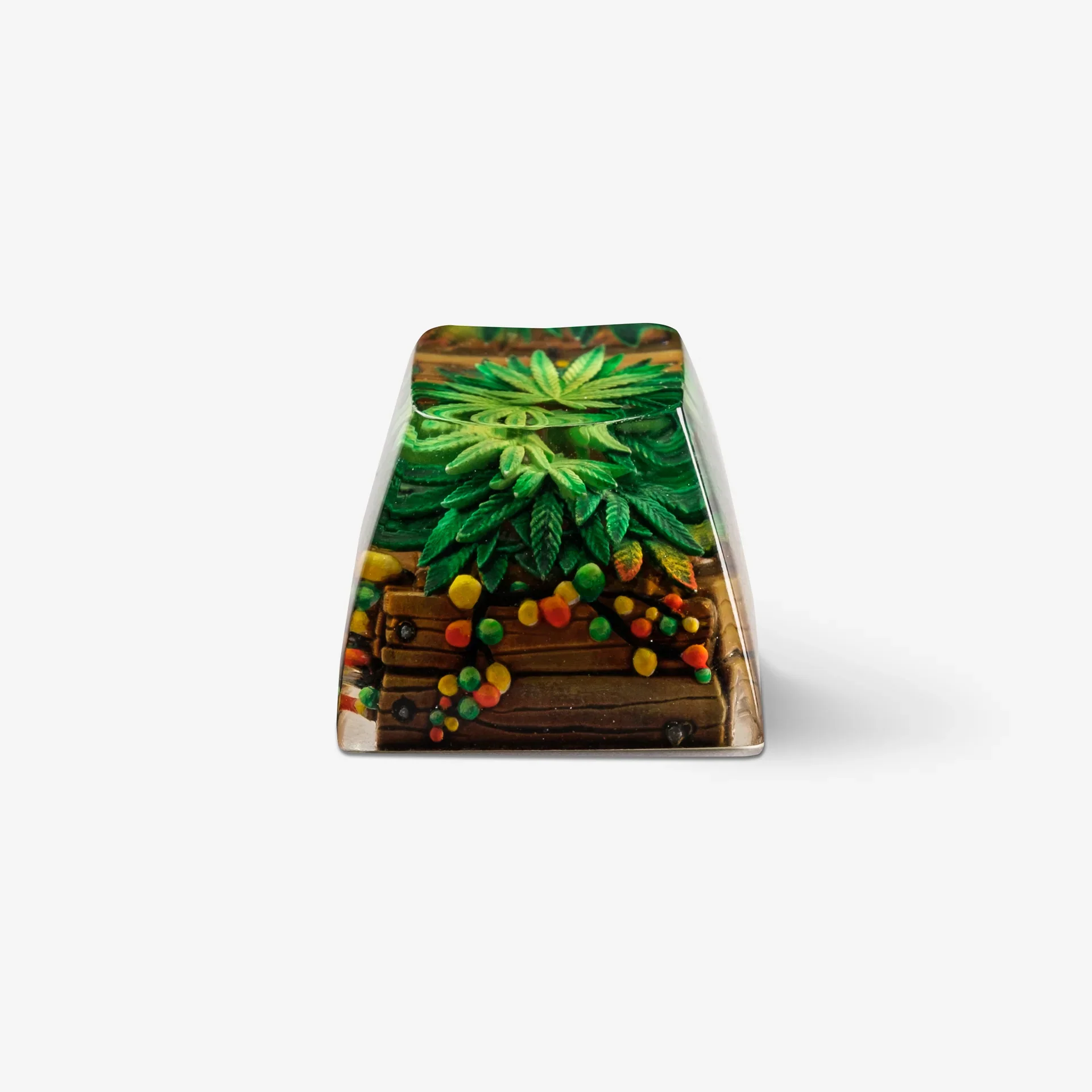 Terrarium V2 by Dwarf Factory (Instock) - Image 3